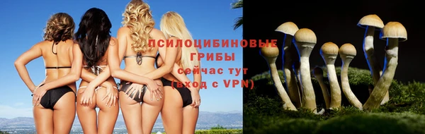 первитин Белокуриха
