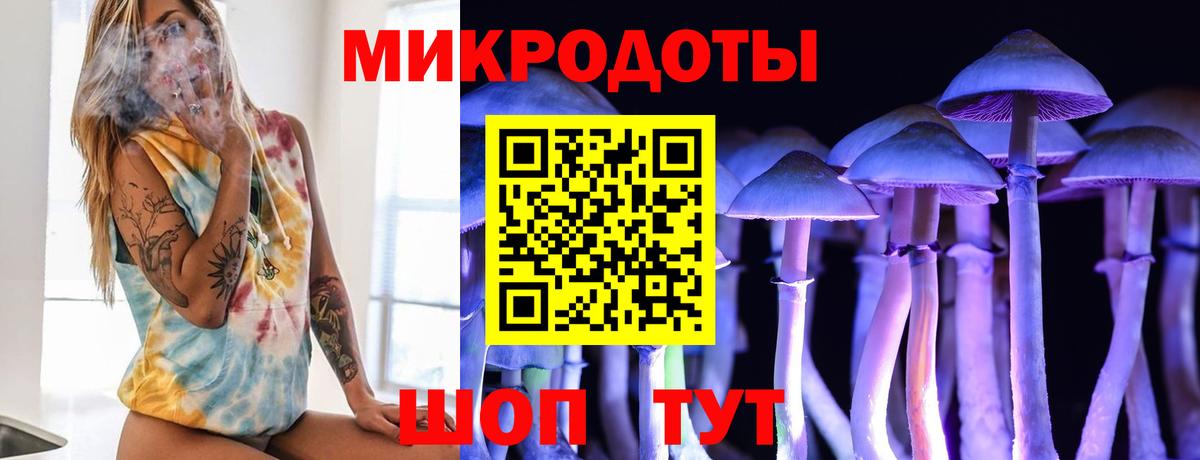 Псилоцибиновые грибы Cubensis Воркута
